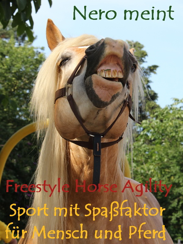 Kontakt Seite zu Freestyle Horse Agility nach Corinna Ertl ist Sport mit Spaßfaktor für Mensch und Pferd.
