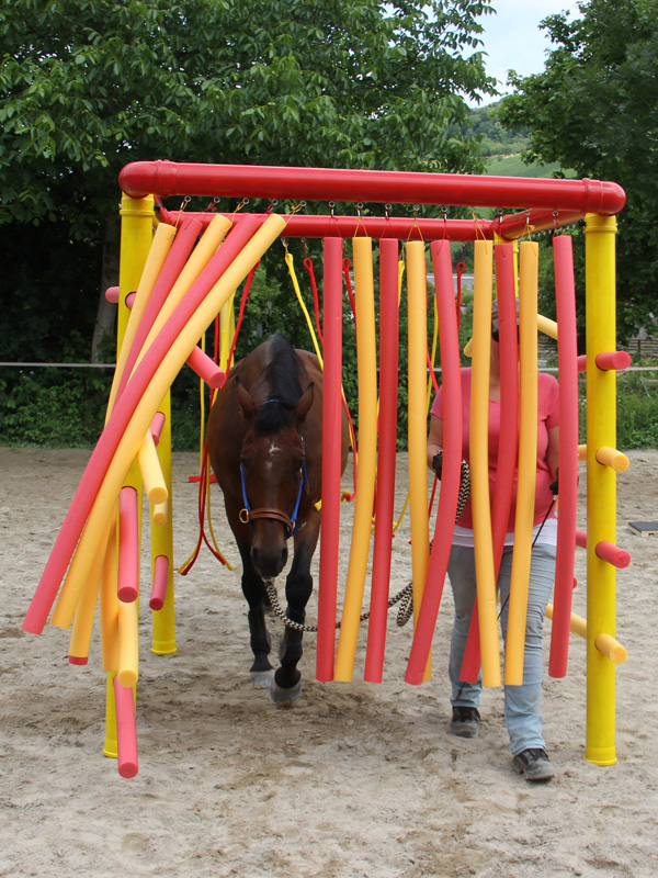 Für das Pferd wurden im Gelassenheits-Cube Schwimmnudeln zur Seite genommen