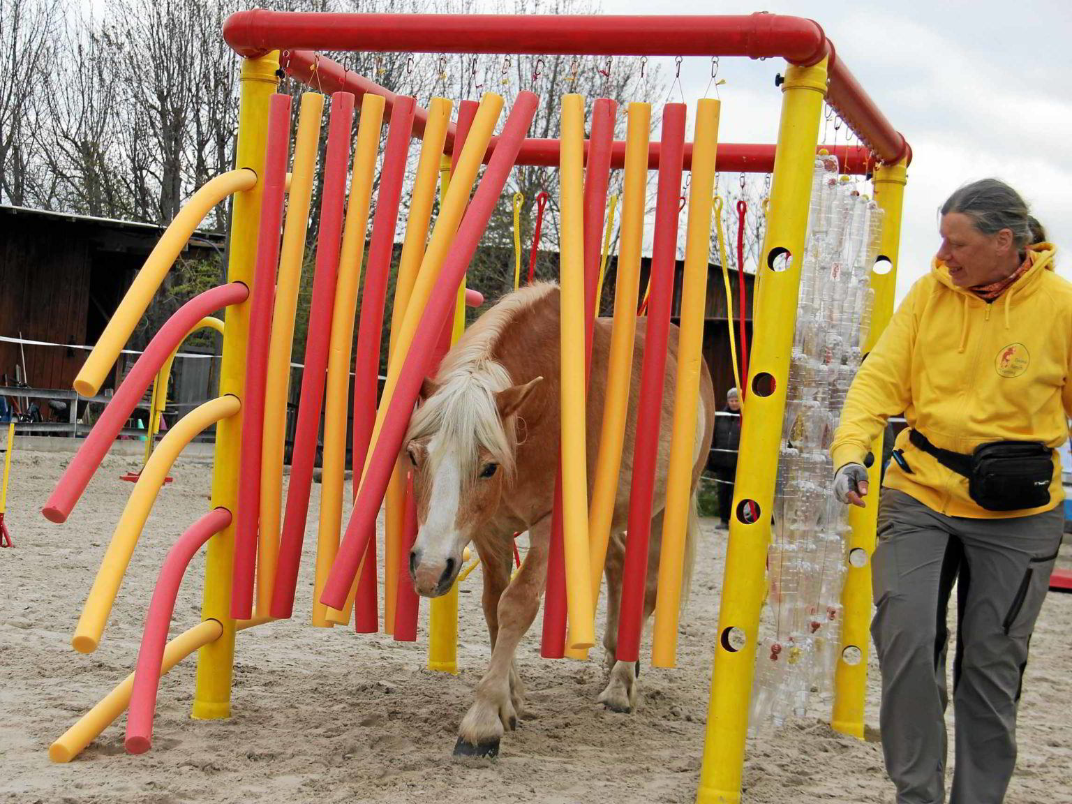 Horse Agility Hindernisse Selber Bauen