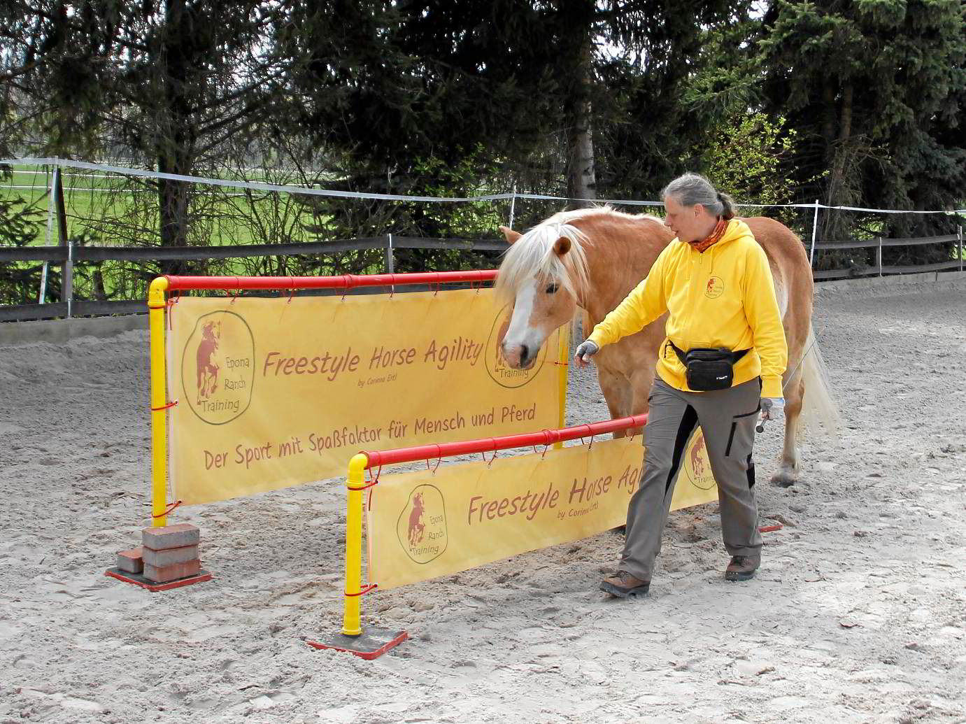 Horse Agility Hindernisse Selber Bauen